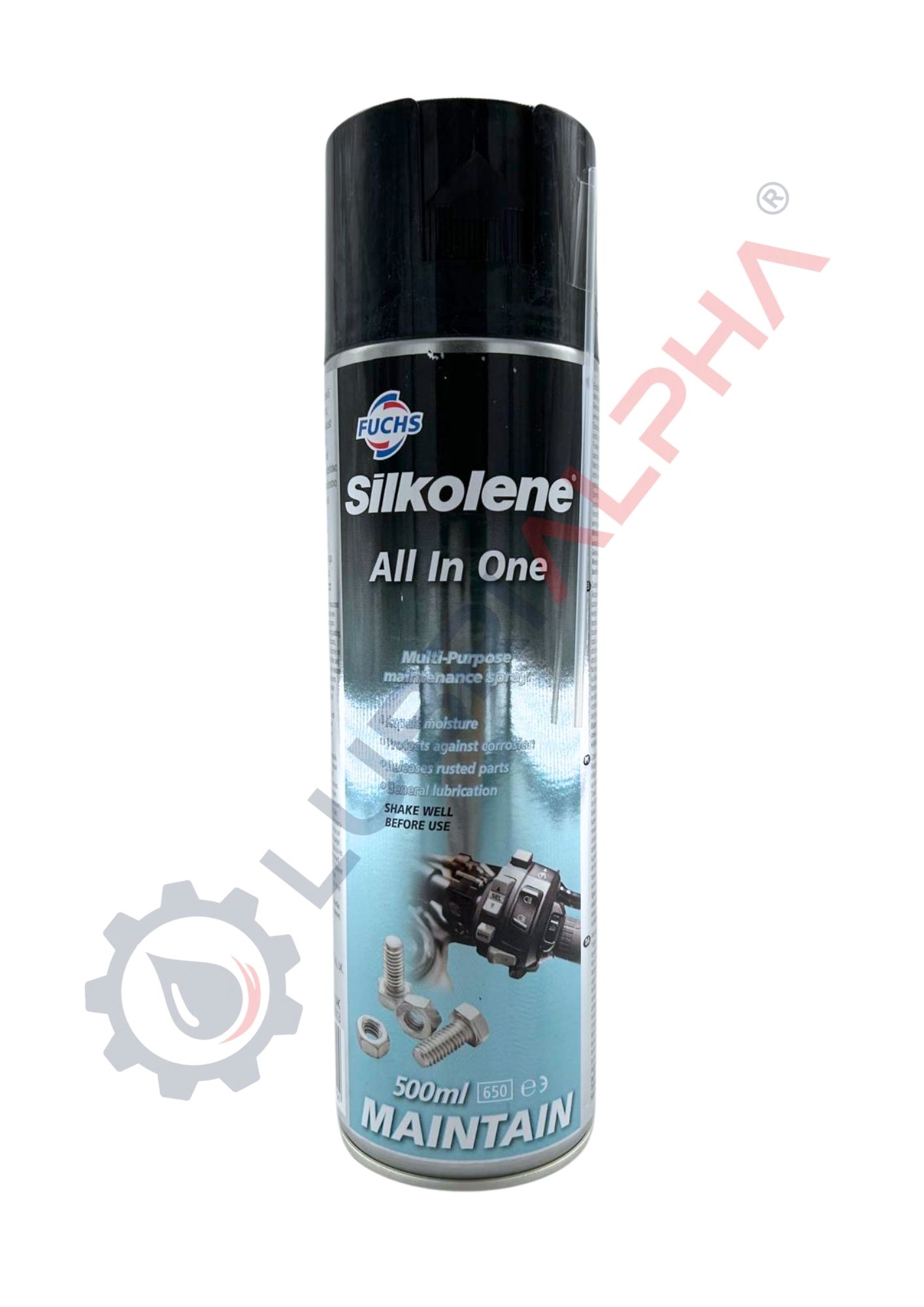 ALL-IN-ONE SPRAY 0,500L